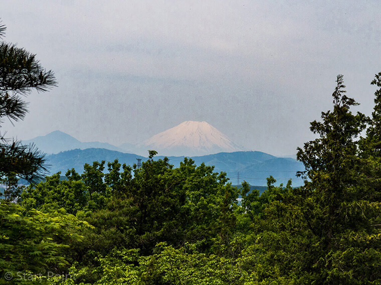 昭和記念公園から見える富士山