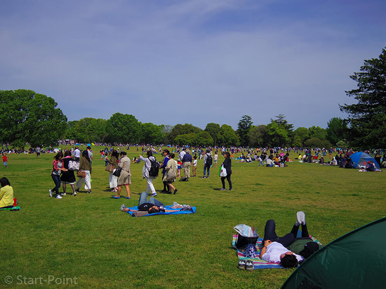 昭和記念公園 芝生の広場
