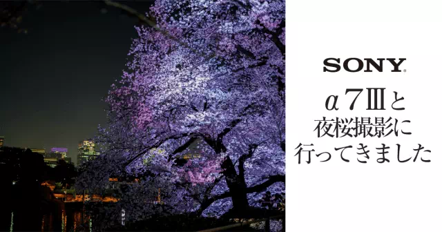 【レビュー】ソニー α7Ⅲで夜景＆夜桜撮影に行ってきました 前編