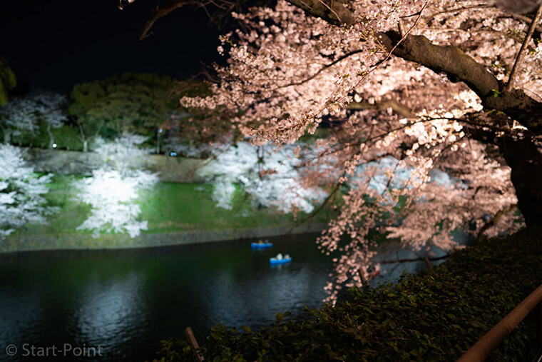 お堀に浮かぶボート夜桜