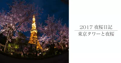 東京タワー夜桜撮影