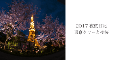 東京タワー夜桜撮影