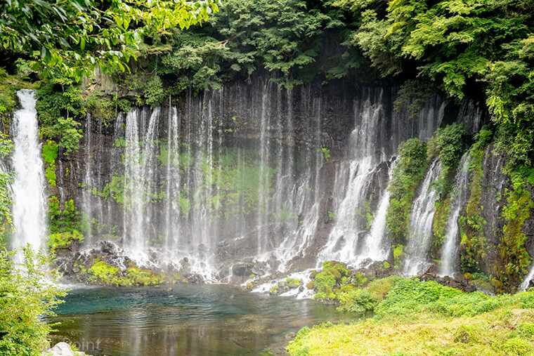 静岡家族旅行 白糸の滝