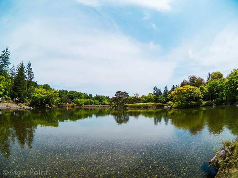 昭和記念公園 池