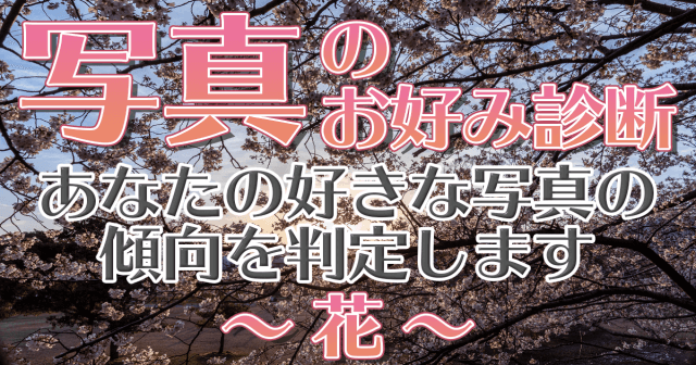 あなたの写真のお好みの傾向を診断します 花の写真編 Start Point