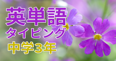 英単語タイピング中3